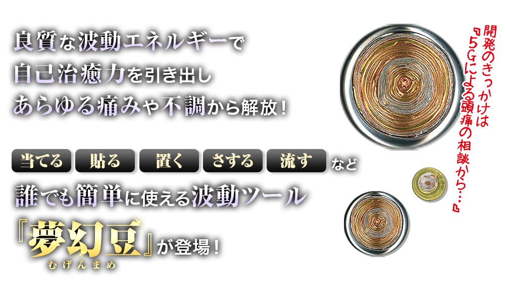 夢幻エナジーコイン プロ仕様 山内要先生 作成 波動製品 (夢幻豆