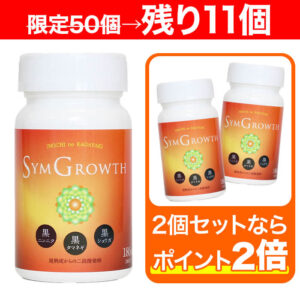 【残り11個】シングロウス